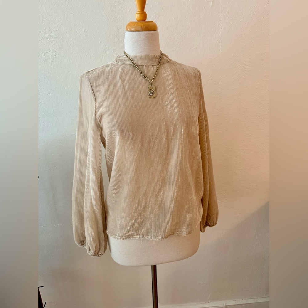 NWT Choklate Velvet High Neck top